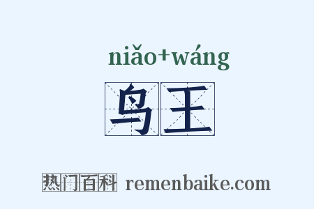 鸟王是什么意思的图片